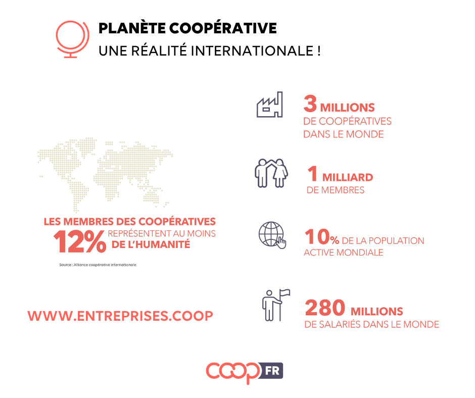 international coop