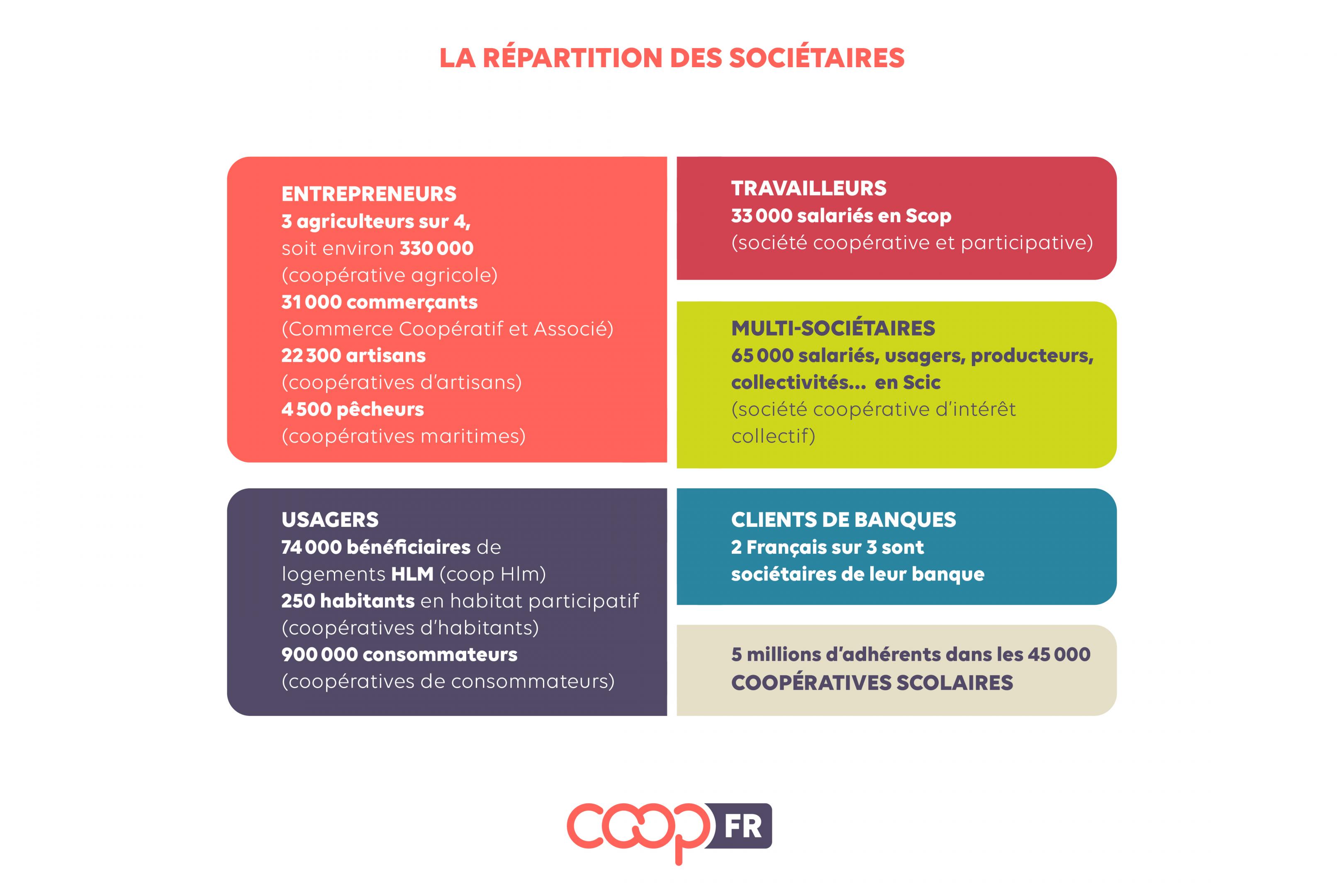 repartition-societaires-coopfr_1.jpg Répartition des sociétaires