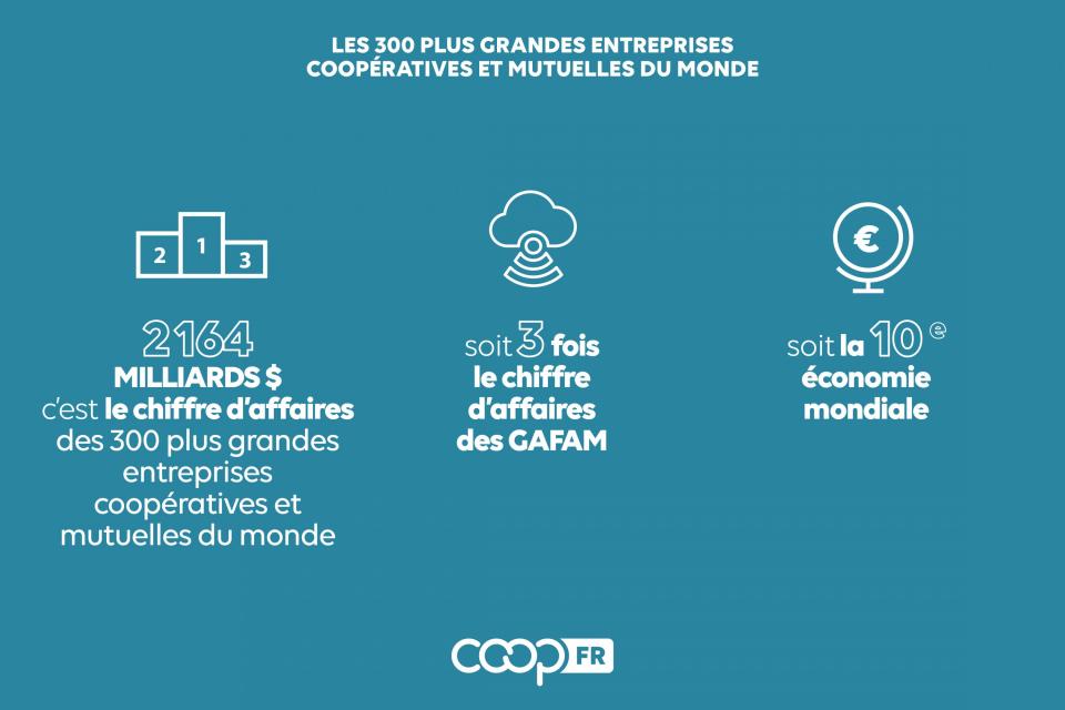 chiffres 300 premières coop