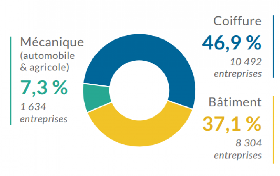 chiffre d'affaires coop artisans