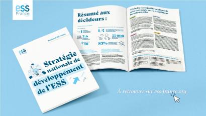 stratégie nationale de l'ESS