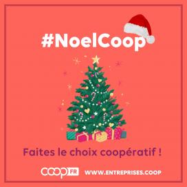 NoelCoop