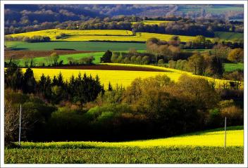 Agriculture